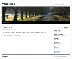Wordpress Theme TwentyTen