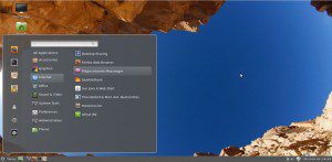 Cinnamon 1.3 Desktop