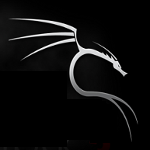 Linux: Sicherheits-Distribution BackTrack 5 ist da