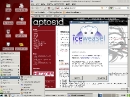 aptosid 2010-03 Xfce Internet und Iceweasel