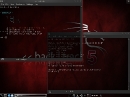 BackTrack 5 (Quelle: backtrack-linux.org)