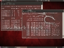 BackTrack 5 (Quelle: backtrack-linux.org)