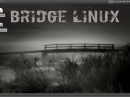 Bridge Linux 2012.5 Desktop