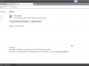 Bridge Linux 2012.5 Chromium