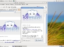 Debian GNU/Linux 6 Squeeze Iceweasel