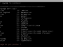 GParted Live 0.13.0 Sprachwahl