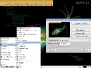 Knoppix 6.4.3 DVD-Edition Grafik