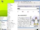 Knoppix 6.4.3 DVD-Edition Internet und Iceweasel