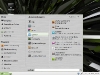 Linux Mint 10 GNOME Internet