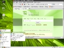 Linux Mint 10 LXDE Firefox und Internet