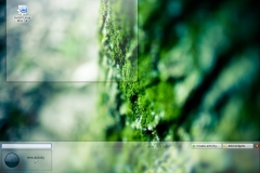 Linux Mint 14 KDE