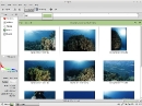Linux Mint 201012 Debian F-Spot