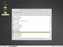 Linux Mint 201012 Debian Installer