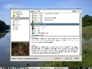 LinuxConsole 1.0.2010 PlayOnLinux