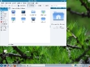 Mandriva 2010.2 KDE Dolphin