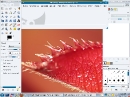 Mandriva 2010.2 KDE GIMP