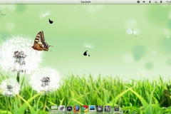 Pear Linux 5