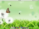 Pear Linux 5 Desktop