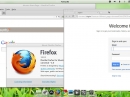 Pear Linux 5 Firefox Chrome