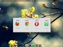 Pear Linux 6 Browser-Manager