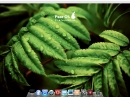 Pear OS 3.0 Panther Finder