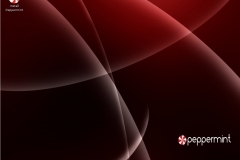 Peppermint OS One-01042011