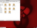 Peppermint OS Three Dateimanager