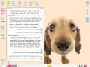 Puppy Linux 5.4 Precise Installieren