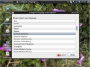 SalineOS 1.6 Installer Sprachwahl