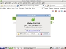 Salix OS 13.1.2 LXDE Internetbrowser Midori