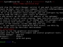 SystemRescueCd 3.1.1 Gestartet