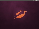 Ubuntu 11.04 Natty Narwhal
