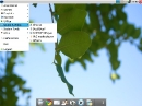 Zorin OS 4 Lite Multimedia