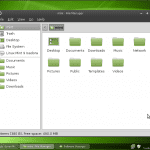 Linux Mint 9 Fluxbox Dateimanager