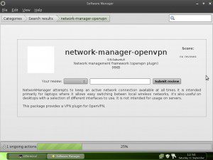 Linux Mint 9 Fluxbox Network-Manager OpenVPN Plugin