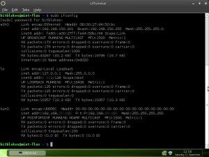 Linux Mint 9 Fluxbox Network-Manager OpenVPN eingewählt