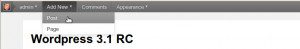 Wordpress 3.1 Admin-Leiste