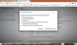 Google Chrome 12 Einstellungen