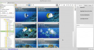 RawTherapee 3.0.0 File Browser