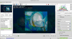 RawTherapee 3.0.0 Schärfe und Crop