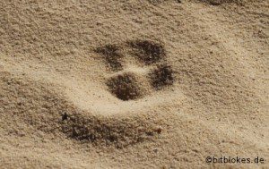 Spur im Sand Teaser