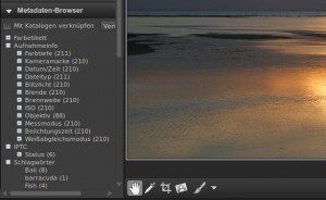 Corel AfterShot Pro Metadaten-Browser