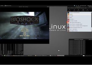 Bioshock Play on Linux