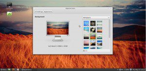Linux Mint 13 Hintergründe
