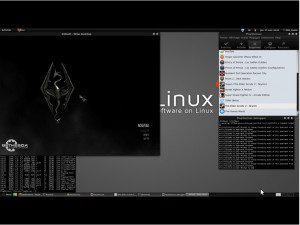 Play on Linux: Skyrim 