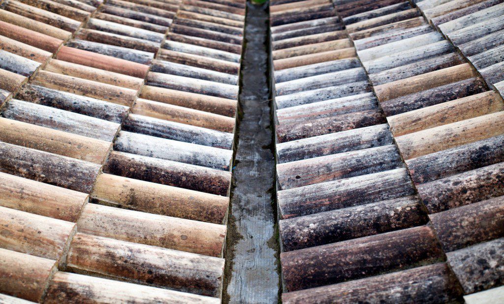 Roof Tiles (Finn Sturdy)