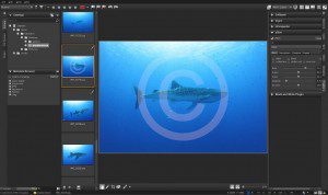 Corel Aftershot Pro Wasserzeichen