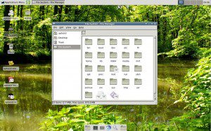 aptosid 2012-01: Dateimanager