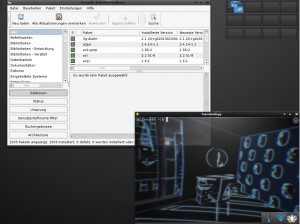 Elive 2.1.27: Terminology und Synatpic