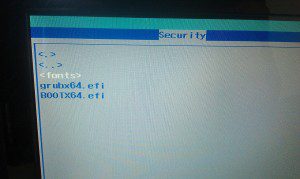 Fedora 18 und UEFI Secure Boot